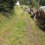 Kleine Am Waldrand